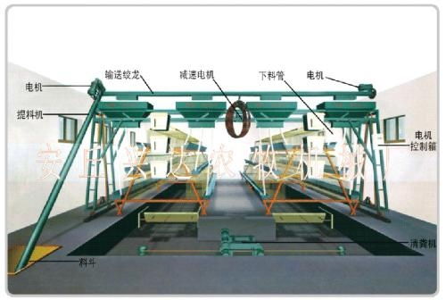 蛋鸡自动上料机